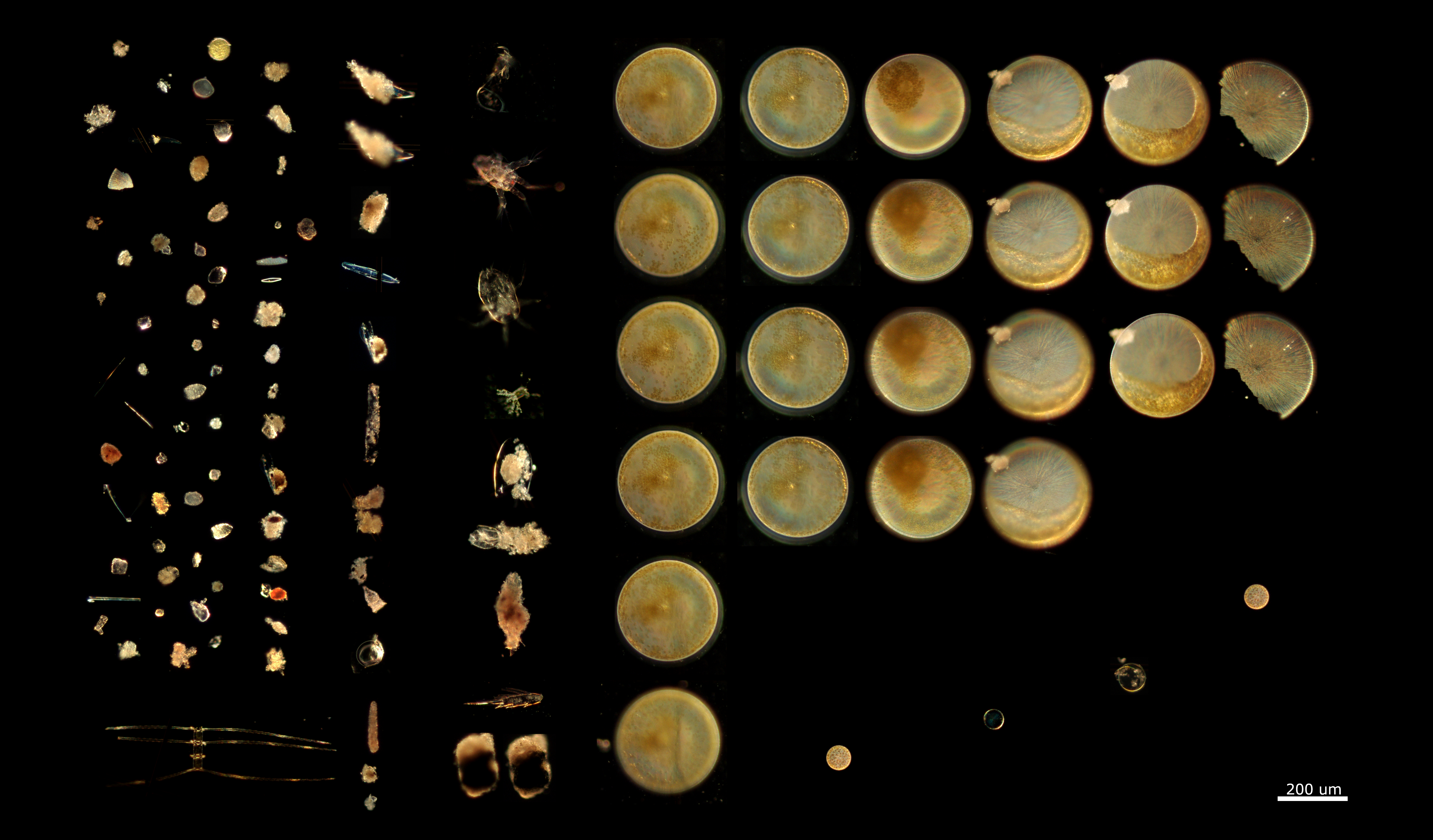 10 m depth