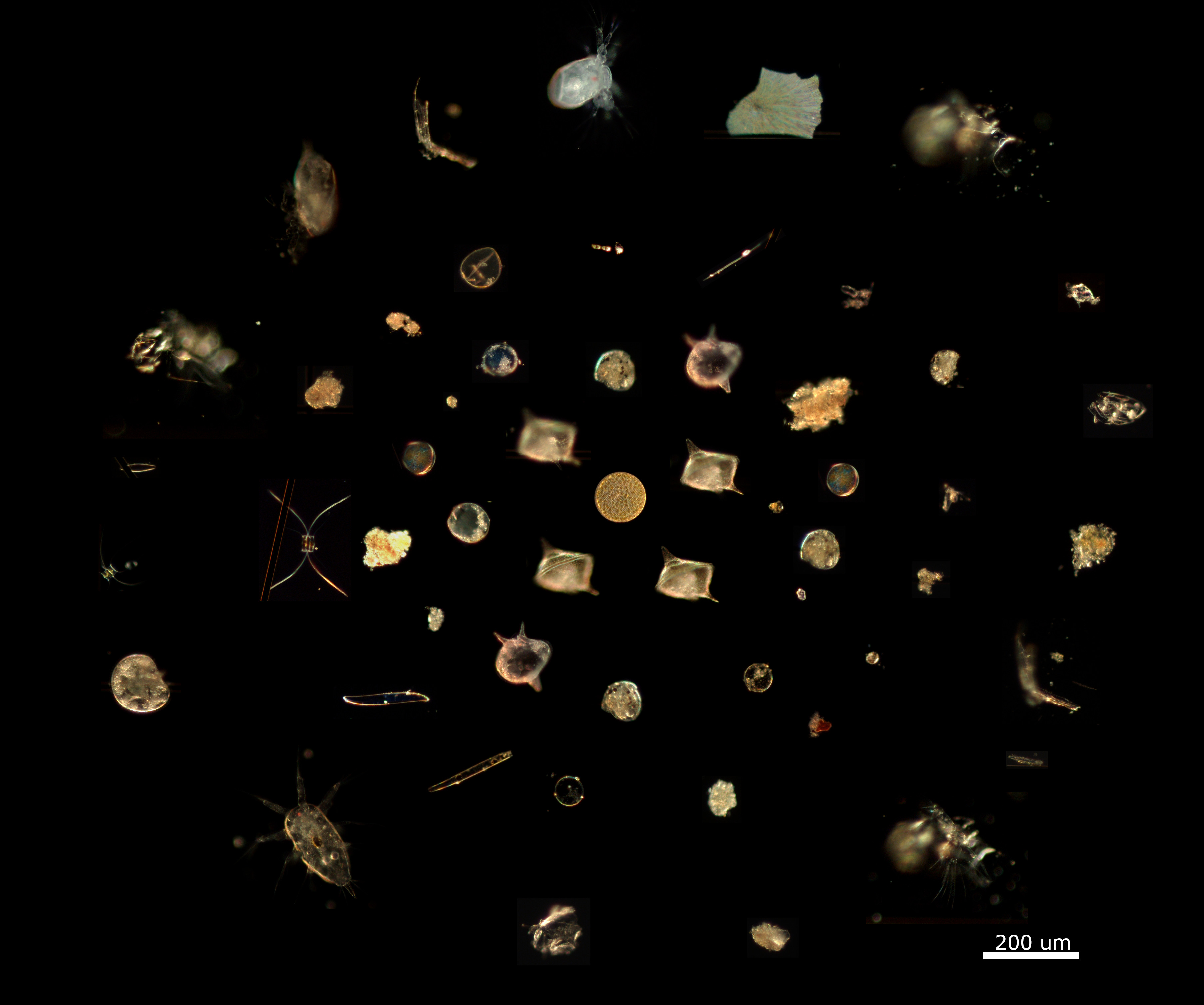 40 m depth